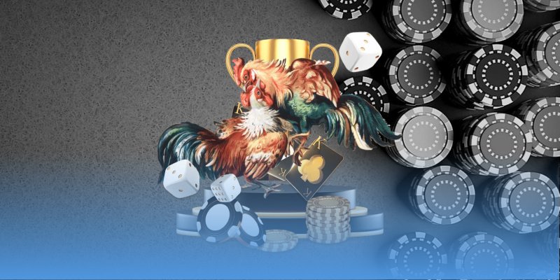 Quy định tham gia đá gà đơn giản